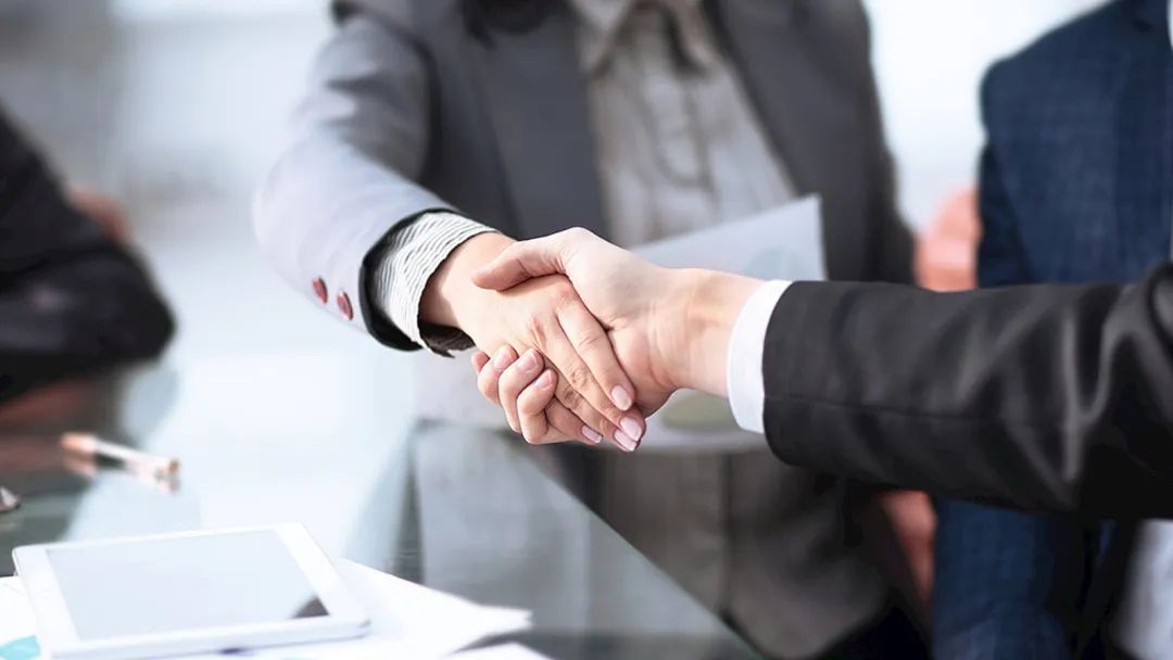 1735980941214411.jpg plink (18).jpg